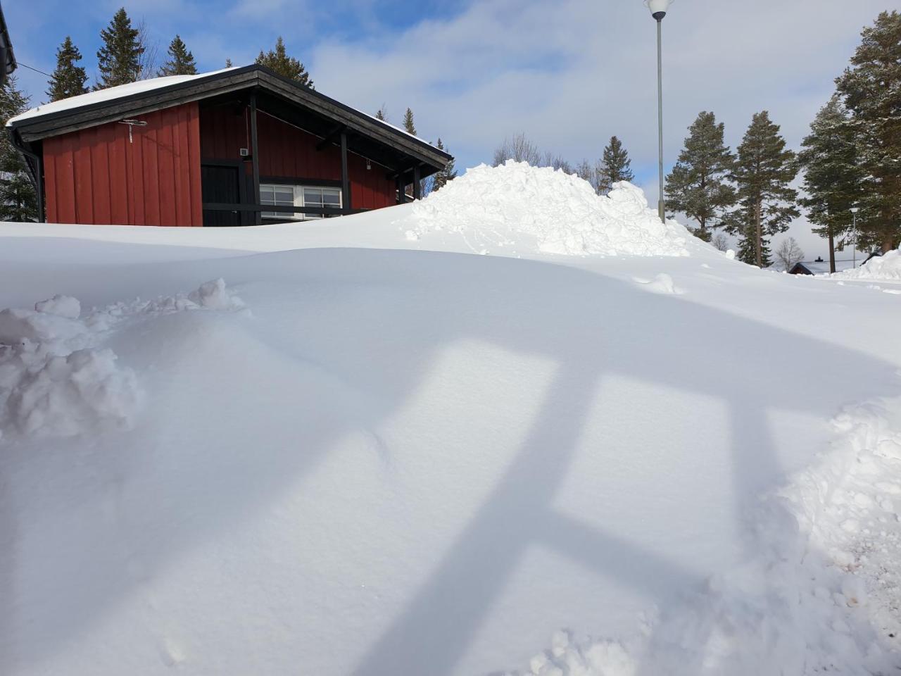 First Camp Froesoen-Oestersund Экстерьер фото